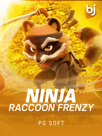 Ninja Raccoon Frenzy game cover